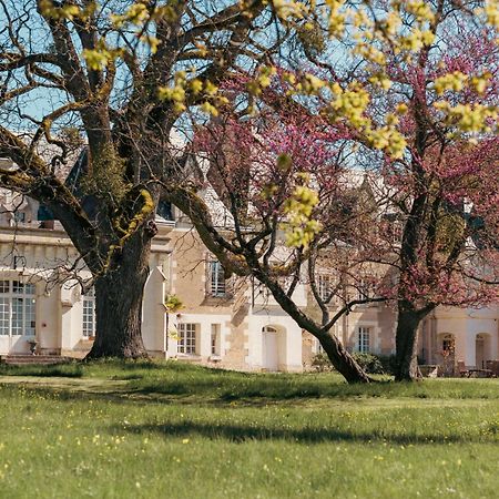 Chateau De Razay Céré-la-Ronde Εξωτερικό φωτογραφία